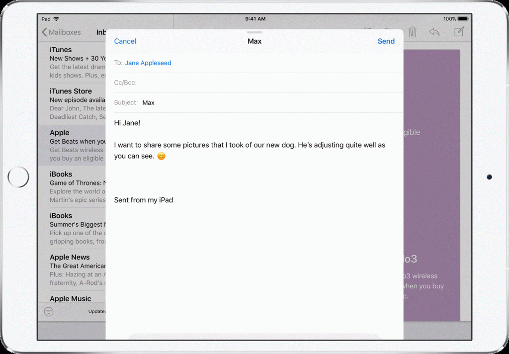 invoke ipad pro split screen